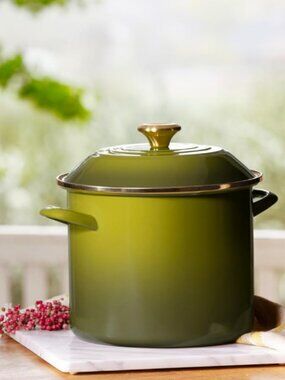 Le Creuset Enamel on Steel Stockpot, Olive